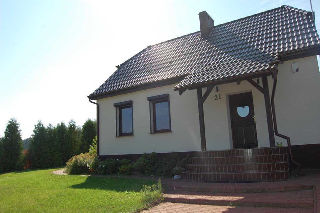 Dom Relaks & Wypoczynek Villa Skoki Bagian luar foto